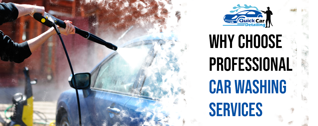 professional car washing services